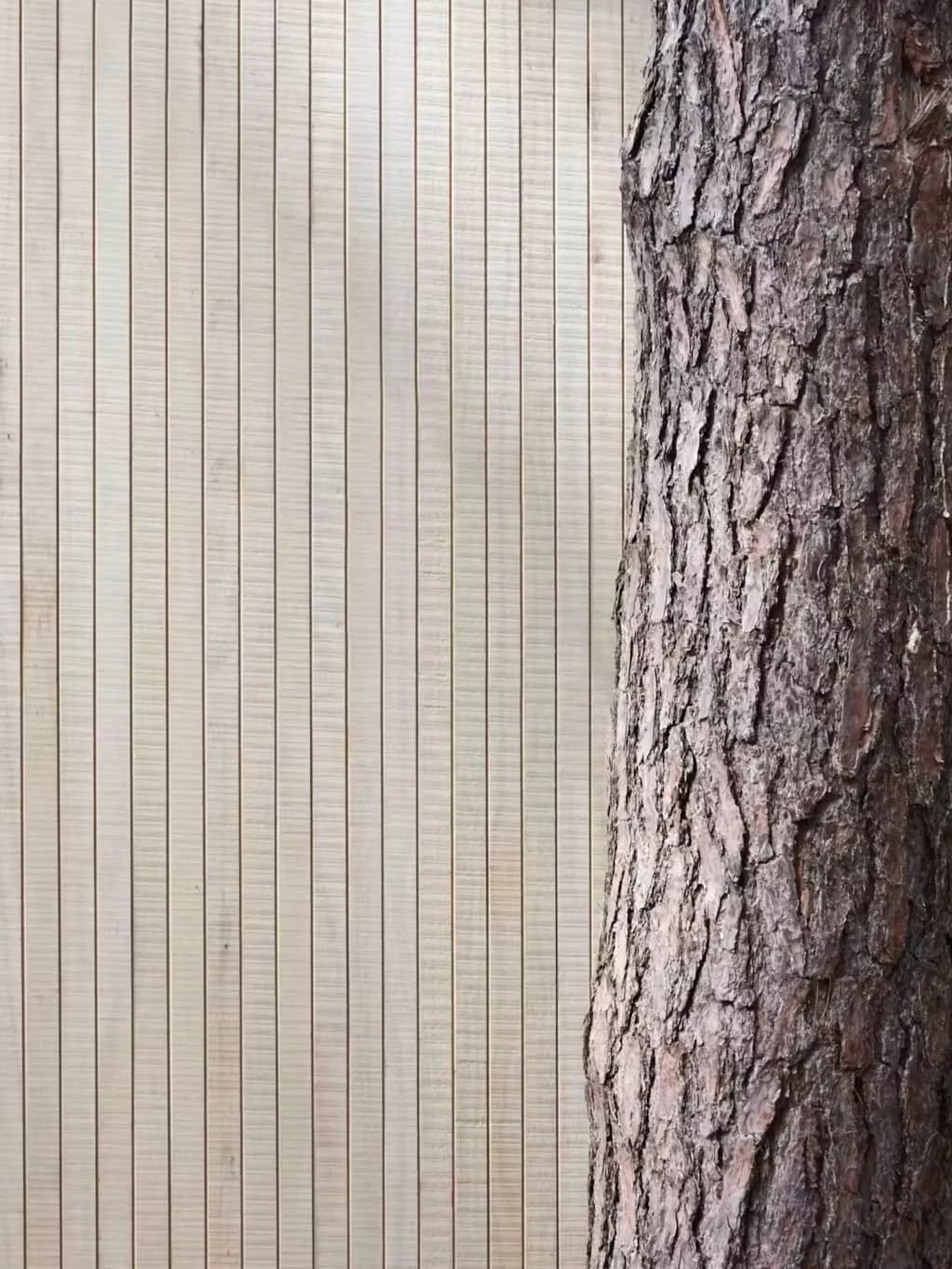 Détail d’un bardage Accoya à claire-voie : fines lames verticales régulières