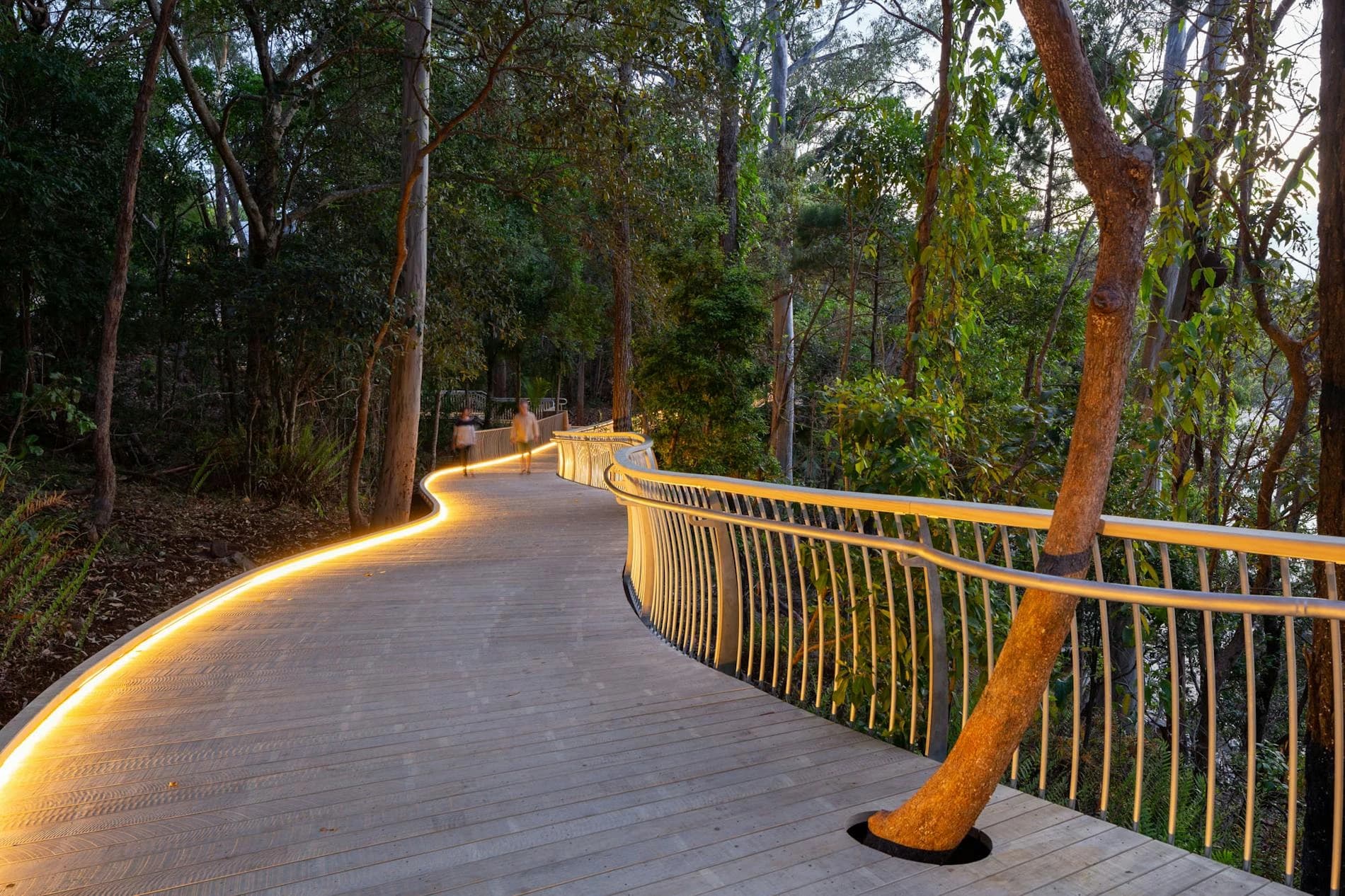 Public boardwalk in Accoya decking, illuminated handrail at dusk